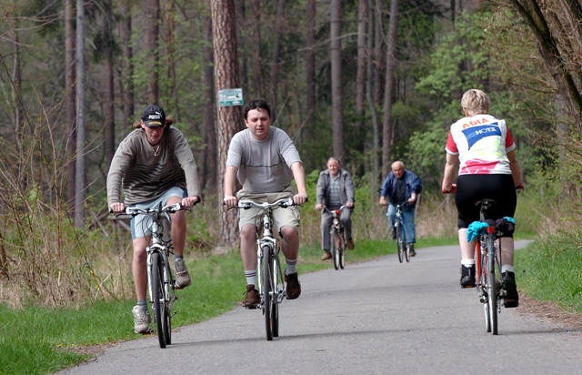 Z Greenway Labe do městských lesů