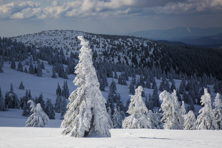 Krkonošský národní park slaví 55. narozeniny