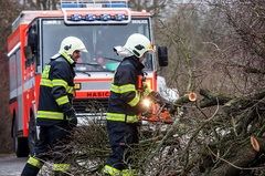 Hasiči zasahovali v Královéhradeckém kraji kvůli silnému větru více jak 500krát