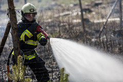 Zákaz rozdělávání ohně ve volné přírodě se ruší. Kraj přesto nabádá k opatrnosti