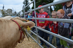 Farmářské slavnosti 2016 pokračují na Náchodsku