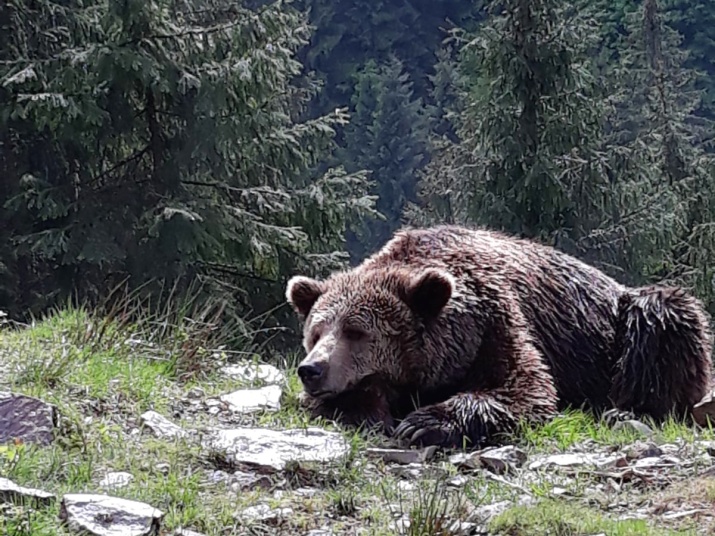 Krajská delegace veze na Ukrajinu počítače a lůžkoviny 