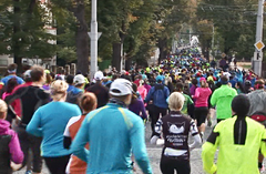 VIDEO: Hradecký půlmaraton přilákal stovky běžců