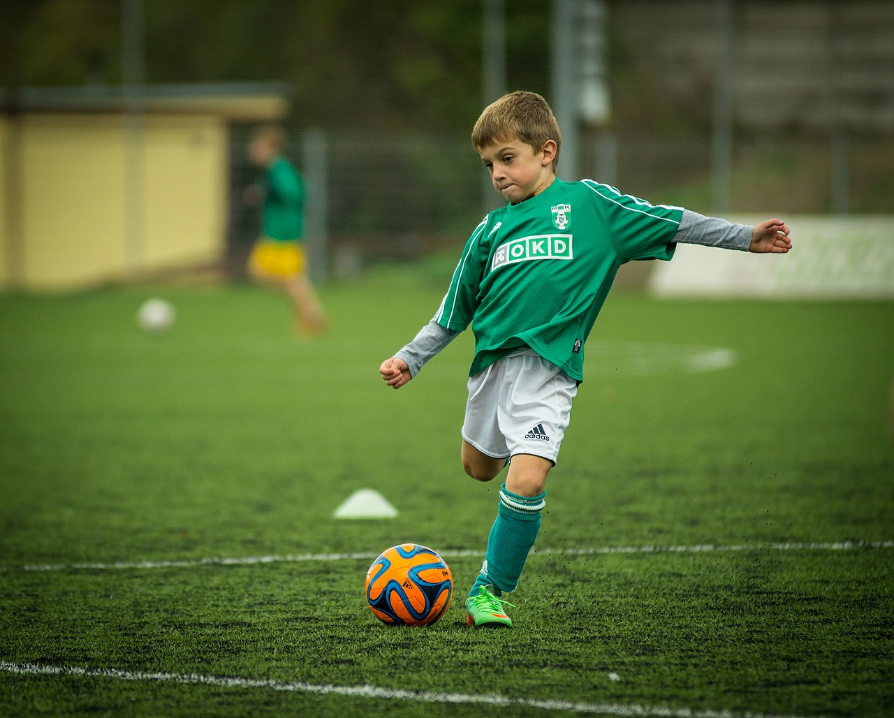 Pořadatelé sportovních akcí mohou žádat o udělení trvalé záštity 