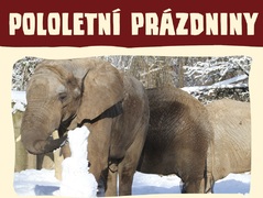 Odměna za vysvědčení čeká na školáky v Zoo Dvůr Králové