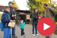 VIDEO: Zoo Dvůr Králové slaví. Po sedmi letech znovu přivítala 500 000 návštěvníků