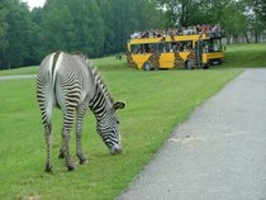 ZOO láká o víkendu návštěvníky na zajímavé akce