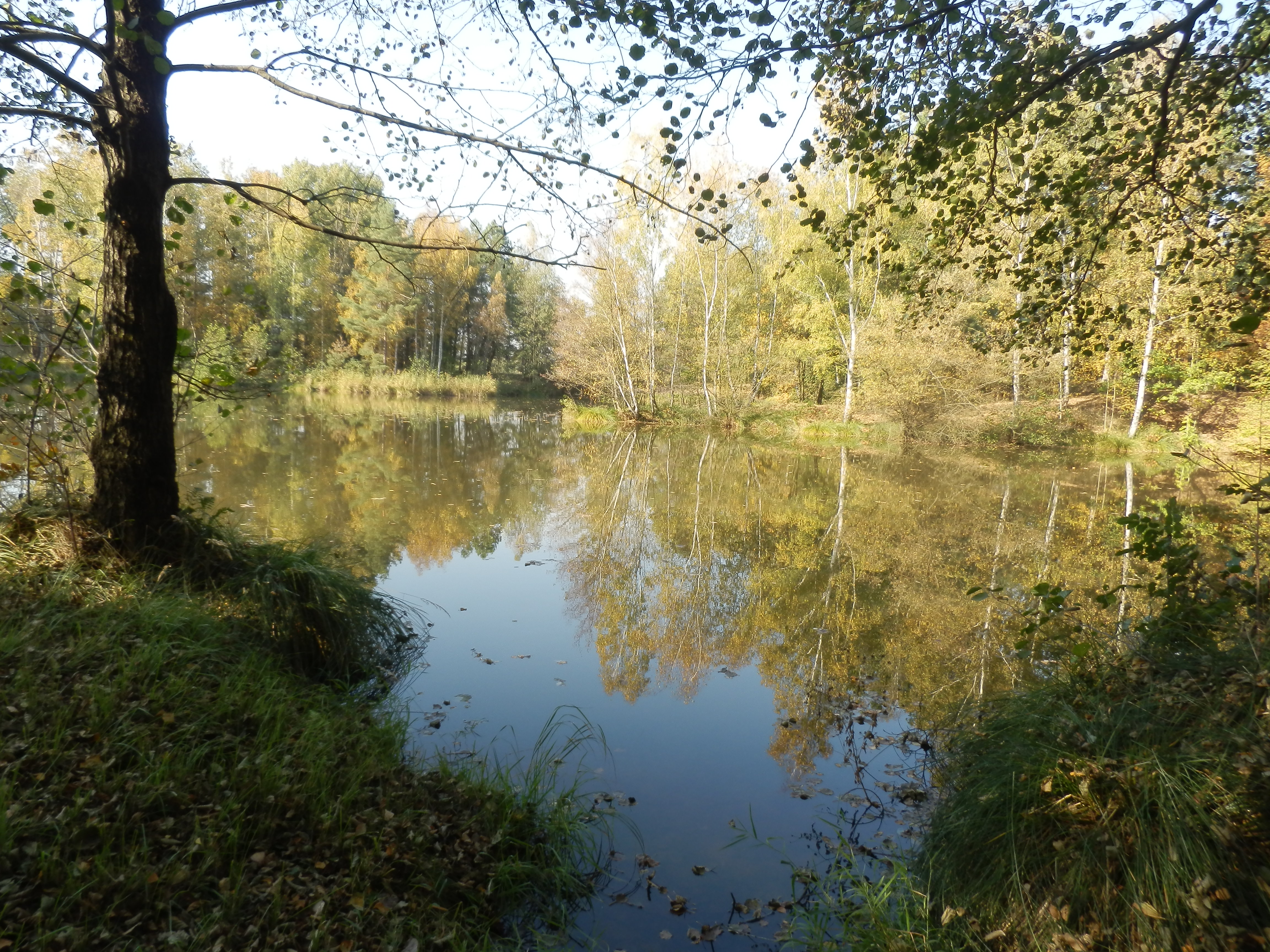 Bělečský písník – dvě tváře těžby