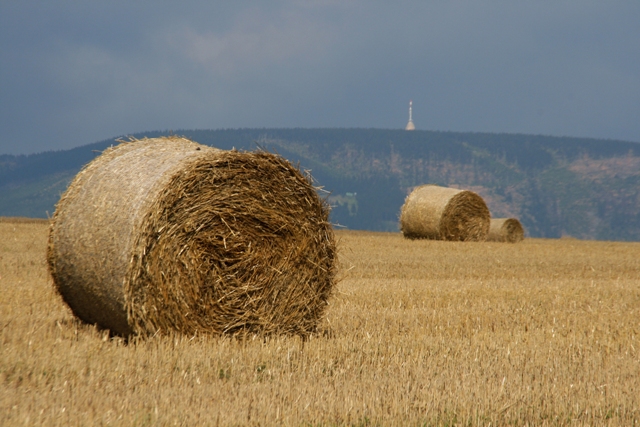 Podkrkonoší