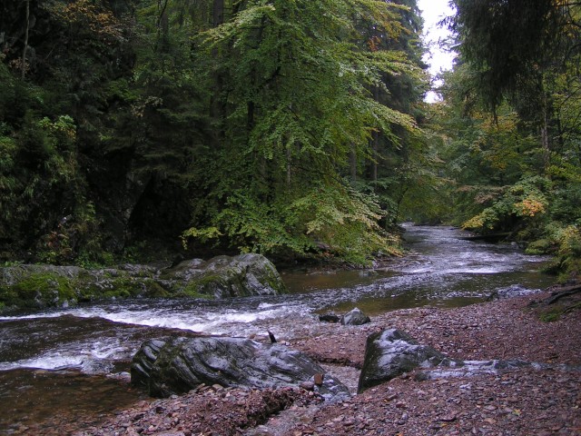 Řeka Zdobnice